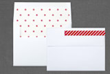 "Sending Family Love" - Retired Holiday Cards in Fire Engine Red by Anelle Mostert - Liner and Label