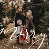 "Merry Hand-lettering" - Retired Holiday Cards in Light by Orasie - Close-Up