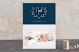 "Delicate Noel" - Retired Holiday Cards in Navy by Jana Volfova - Front