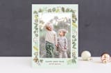 "Winter Foliage Frame Christmas Blessings" - Retired Holiday Cards in Aloe by Erika Firm - Front