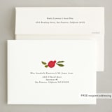 "New Year Pomegranates" - Rosh Hashanah Cards in Pomegranate by Becky Nimoy - FREE Recipient Addressing