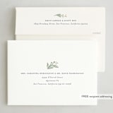 "Shofar Blast" - Rosh Hashanah Cards in Parchment by Laura Bolter - FREE Recipient Addressing