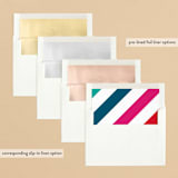 "sideways cheers" - Retired Holiday Cards in Rainbow by Erin Deegan - Envelope Liners