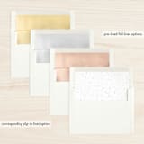 "Fruitful" - Retired Holiday Cards in Rainbow by Jennifer Lew - Envelope Liners