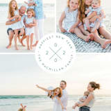 "modern seal" - Retired Holiday Cards in Mint by Orasie - Close-Up