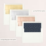 "Photo Toss" - Retired Holiday Cards in Midnight by Lauren Chism - Envelope Liners