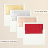 "new year, new adventure" - Retired Holiday Cards in Cherry by Stacy Cooke - Envelope Liners