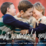 "Wonderful Year" - Retired Holiday Cards in Snow by Sarah Brown - Close-Up