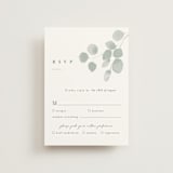 "Silver Dollar Eucalyptus" - RSVP Postcards in Silver Dollar by Shannon Chen of Four Wet Feet Studio - Front
