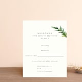 "Simple Pine Branches" - RSVP Postcards in Vanilla by Mere Paper - Front