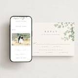 "Vining" - RSVP Postcards in Eucalyptus by Kristie Kern - FREE Wedding Website