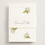 "Limelight" - RSVP Online Enclosure Cards in Linen by Olivia Kanaley Inman - Assembled with Belly Band