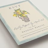 "Amalfi Coast Wedding" - RSVP Online Enclosure Cards in Aqua by Chris Griffith - Detail