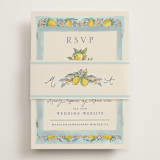 "Amalfi Coast Wedding" - RSVP Online Enclosure Cards in Aqua by Chris Griffith - Assembled with Belly Band