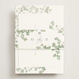 "Vining" - RSVP Online Enclosure Cards in Eucalyptus by Kristie Kern - Assembled with Belly Band