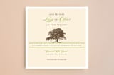 "Oak Tree" - Save the Dates in Peridot by Annie Clark - Front
