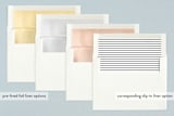 "formal introduction" - Birth Announcements in Slate by Kasia Labocki - Slip-In Envelope Liners