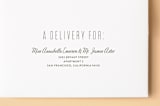 "Type Type Baby" - Birth Announcements in Sky by Kimberly FitzSimons - FREE Recipient Addressing