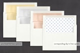 "Bold" - Birth Announcements in Sky by Susan Brown - Slip-In Envelope Liners