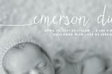 "Big Introduction" - Birth Announcements in Cotton by Kim Chow - Close-Up