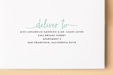 "Big Introduction" - Birth Announcements in Cotton by Kim Chow - FREE Recipient Addressing