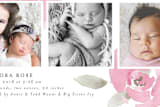 "Sweet As A Rose" - Birth Announcements in Rose Pink by J. Dario Design Co. - Close-Up