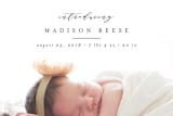 "Classic" - Birth Announcements in Ink by Brianne Larsen - Close-Up