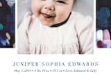 "Painted Magnolia" - Birth Announcements in Deep Sea by Holly Whitcomb - Close-Up