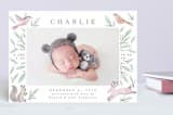 "Woodland Frame" - Birth Announcements in Spring Day by Everett Paper Goods - Front