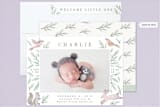"Woodland Frame" - Birth Announcements in Spring Day by Everett Paper Goods - Assembled