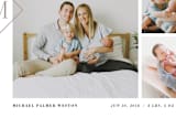"Metropolitan" - Birth Announcements in Mink by Ann Gardner - Close-Up