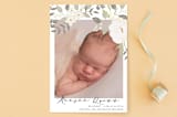 "Woodland" - Birth Announcements in Antique Cream by Haley Warner - Front
