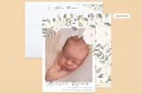 "Woodland" - Birth Announcements in Antique Cream by Haley Warner - Assembled