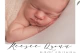 "Woodland" - Birth Announcements in Antique Cream by Haley Warner - Close-Up