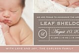 "From Your Nose to Your Toes" - Birth Announcements in Taupe by rose lindo - Close-Up
