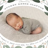 "little birdie" - Birth Announcements in Peach by Leah Bisch - Close-Up