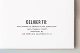 "Bold Beginnings" - Birth Announcements in Pepper by Jennifer Thomke - FREE Recipient Addressing