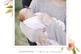 "Bountiful" - Birth Announcements in Petal by frances mathys - Close-Up