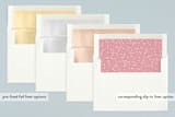 "Hopscotch" - Birth Announcements in Strawberry by Carrie ONeal - Slip-In Envelope Liners