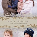 "Winter Boughs" - Retired Holiday Cards in Cocoa by Laura Hankins - Close-Up