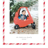 "Peppermint" - Retired Holiday Cards in Peppermint by Stardust Design Studio - Close-Up