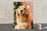 "Paws" - Retired Holiday Cards in Red Berry by Lori James - Front