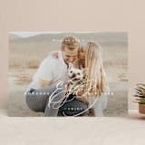 "pawsitively blessed" - Retired Holiday Cards in Pine by Lori James - Front