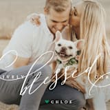 "pawsitively blessed" - Retired Holiday Cards in Pine by Lori James - Close-Up