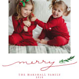 "Merry Branch" - Retired Holiday Cards in Poinsetta by Paula Pecevich - Close-Up