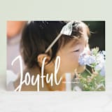 "Frosted Joy" - Retired Holiday Cards in Snow by Rochelle Renee - Front