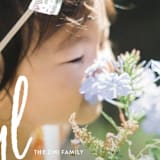 "Frosted Joy" - Retired Holiday Cards in Snow by Rochelle Renee - Close-Up