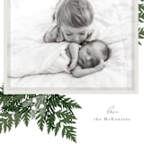 "Natures Grace" - Retired Holiday Cards in Mist by Corinne Malesic - Close-Up
