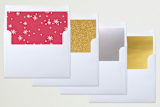"modern & joy" - Retired Holiday Cards in Berry by Loren Willis - Envelope Liners
