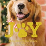 "Paw Print" - Retired Holiday Cards in Goldenrod by Lea Delaveris - Close-Up